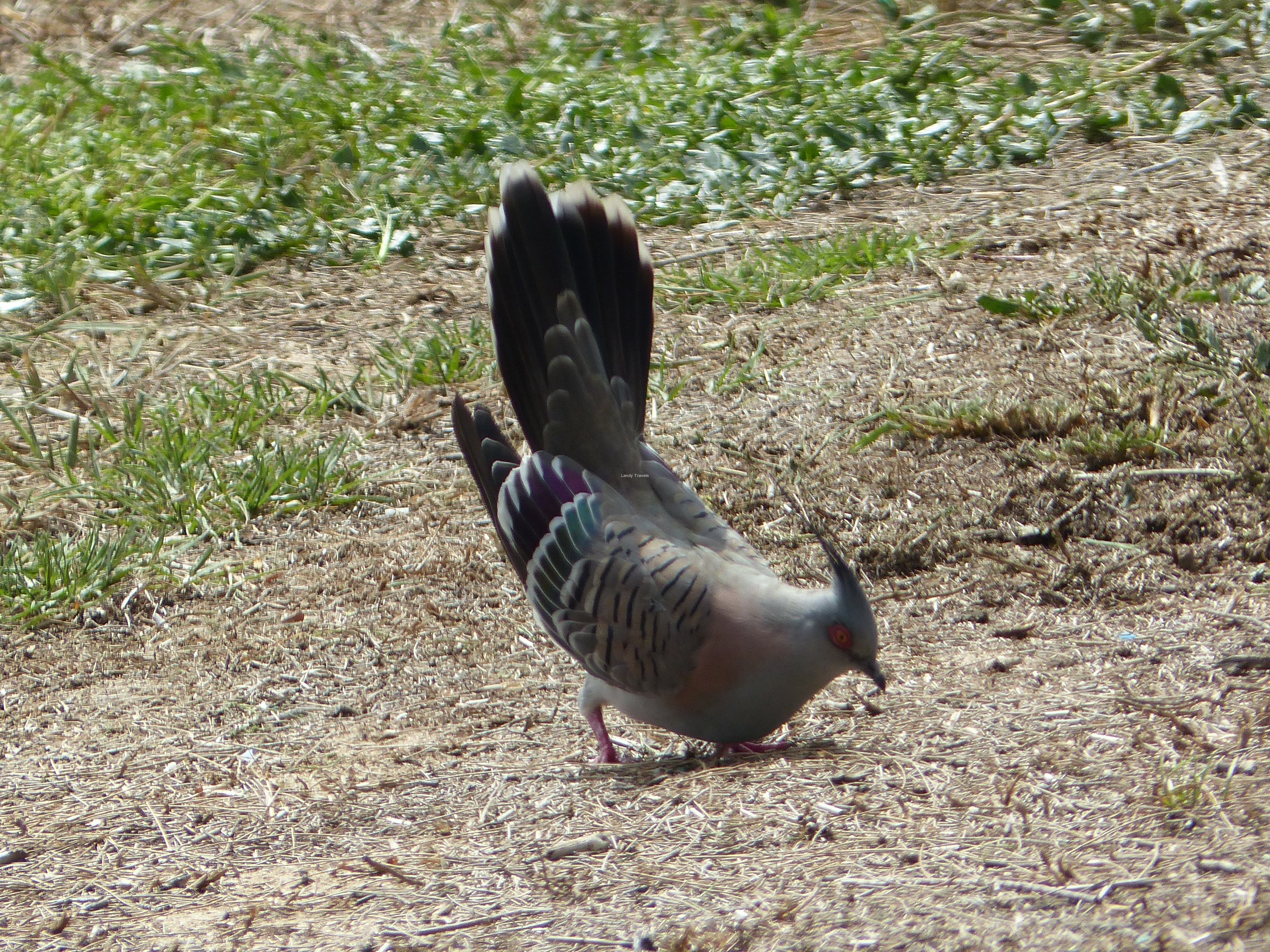 p1000174