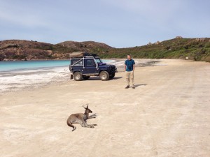 Lucky Bay, sunbathing kangaroo.