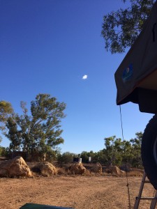 Camping at Minilya, not quite cloudless today !