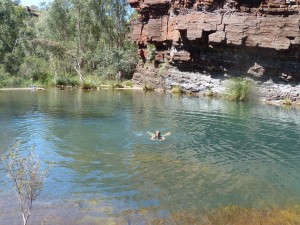 Pam swimming below Fortescue Falls