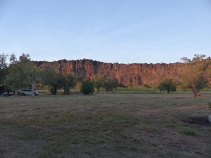 Devonian Reef cliffs at Windjana Gorge