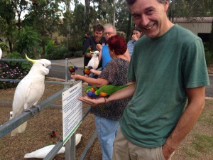 Feeding the local parrot species. The Lorikeets are pretty fearless, the Cockatoos wait until you move your hand to them.