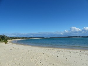 Trial Bay, another day, another beach :)